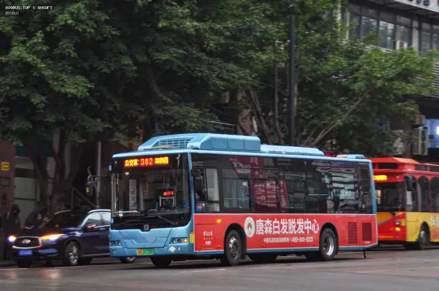 800BUS