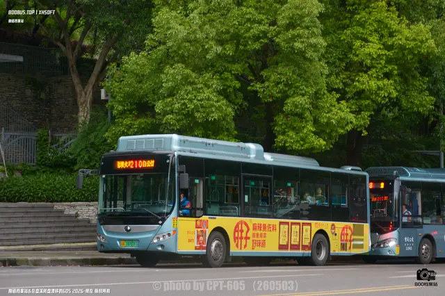 800BUS