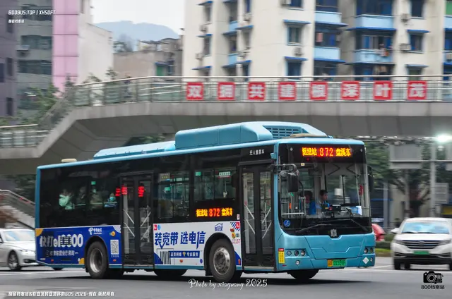 渝A 01559F