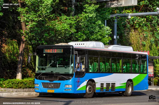 800BUS