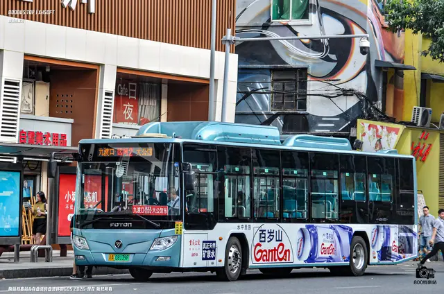 800BUS