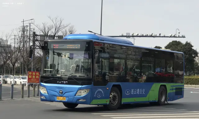 800BUS