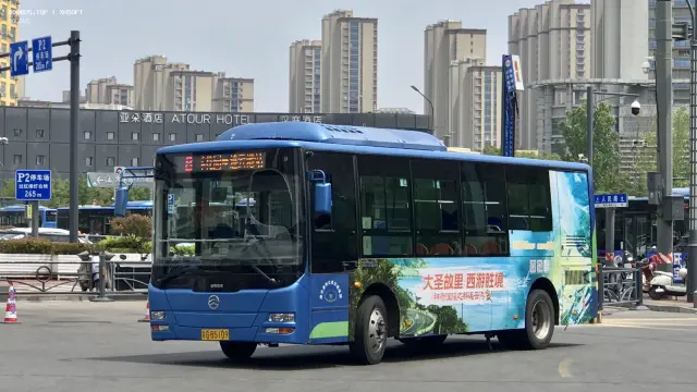 800BUS