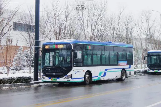鲁A00981D