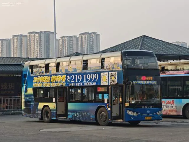 桂C 37186