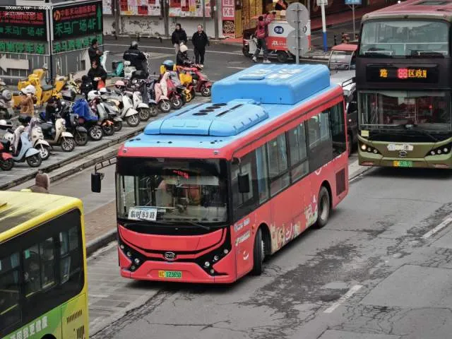 桂C 12365D