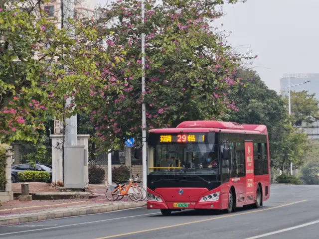 桂A 03059D