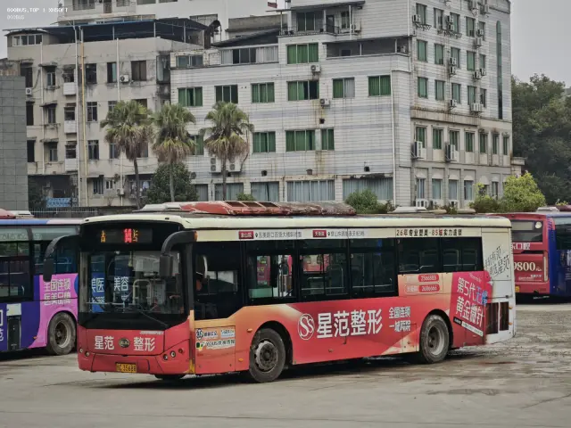 800BUS