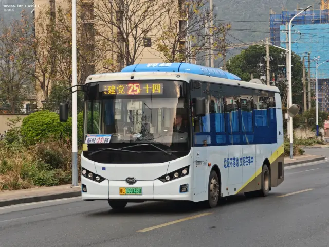 800BUS