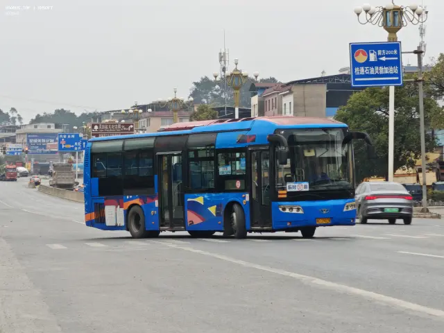 桂C 29828