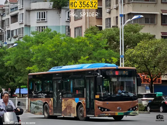 桂C 09009D