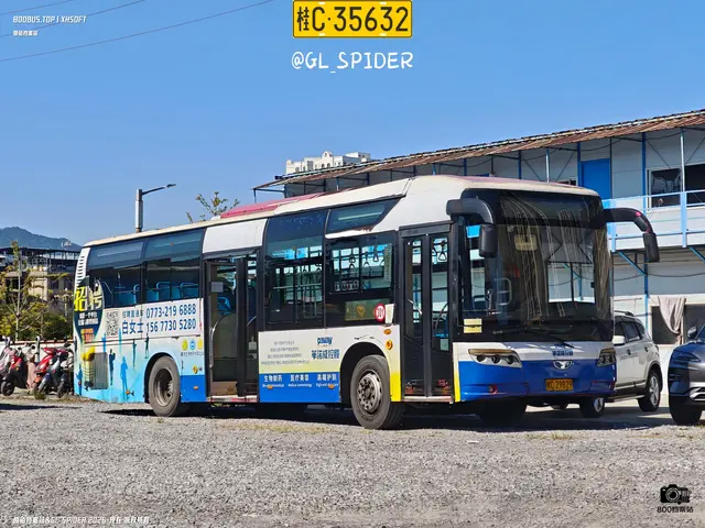 桂C 29829