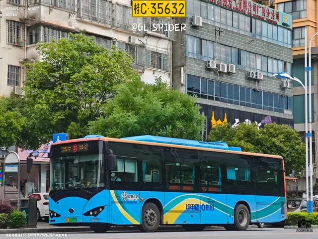 800BUS