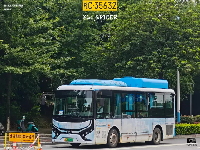 800BUS