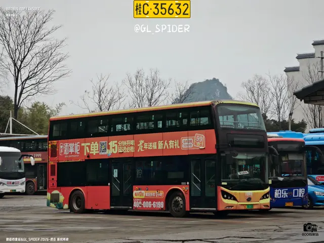 桂C 06118D