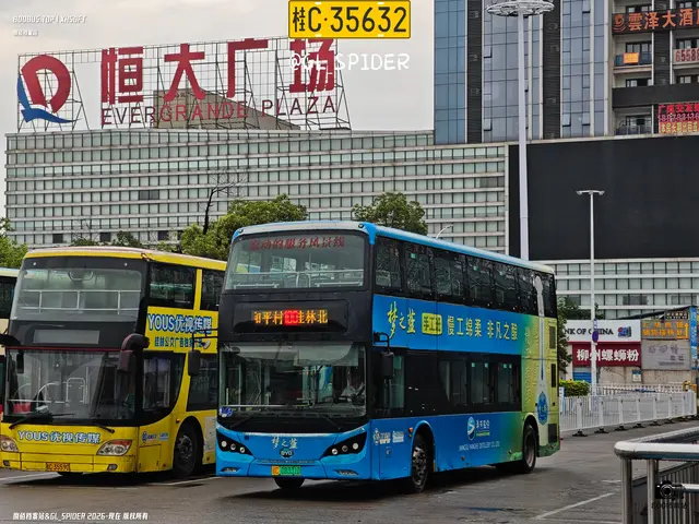 桂C 08331D