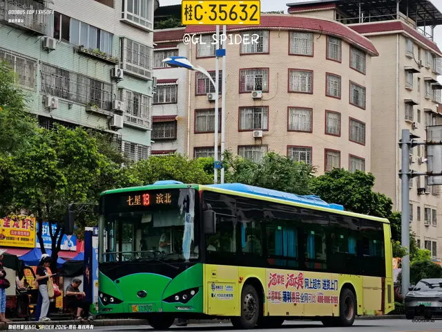 桂C 12309D