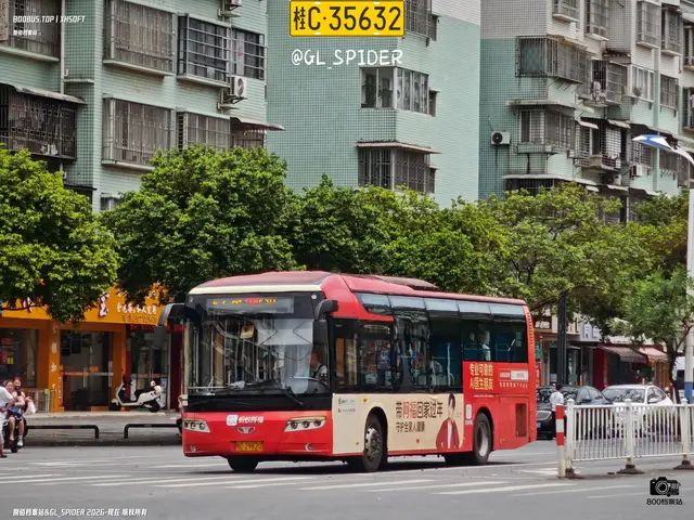 桂C 29820