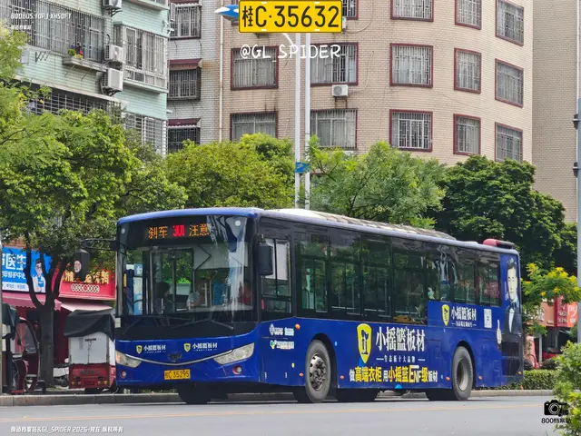 桂C 35295
