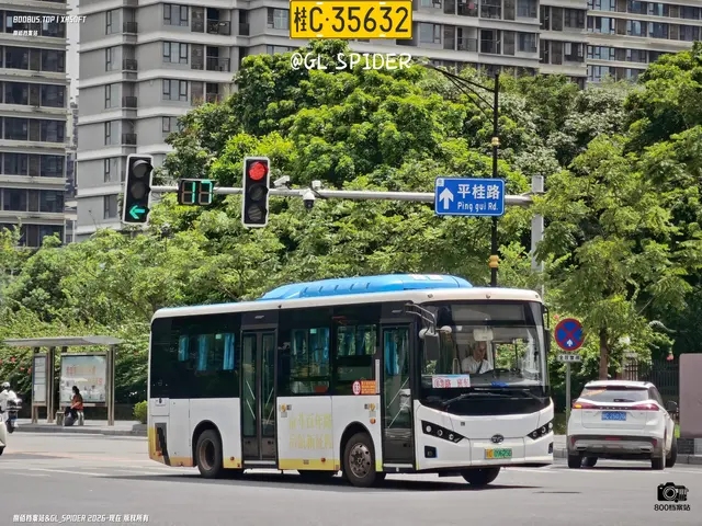 桂C 09625D