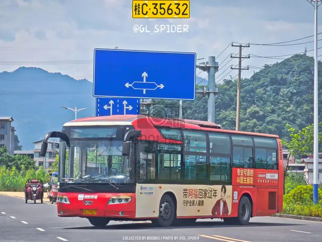 桂C 29820