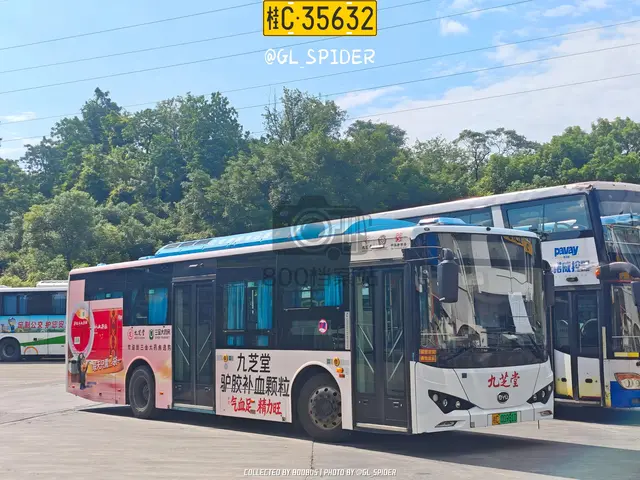 桂C 00981D