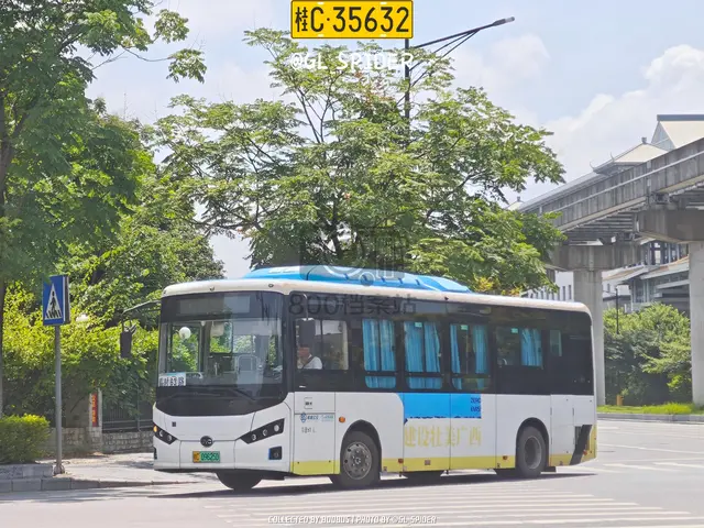桂C 09625D