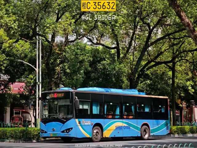 桂C 12385D