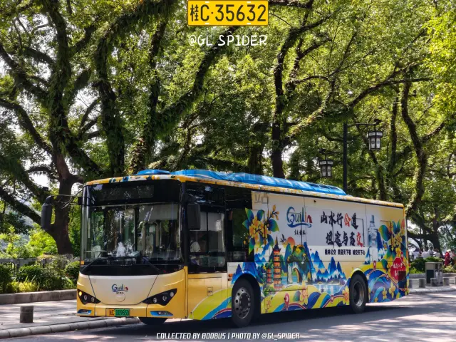 桂C 00965D