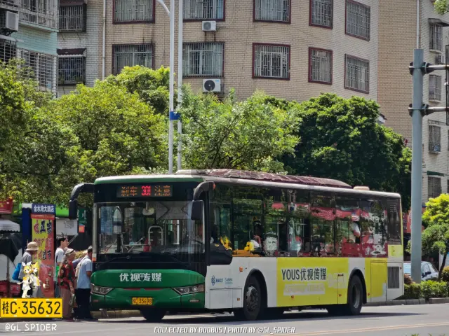 800BUS