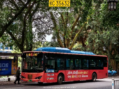 桂C 13800D