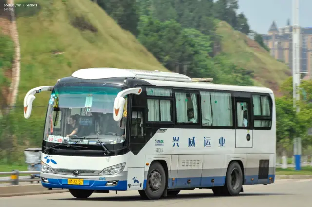 800BUS