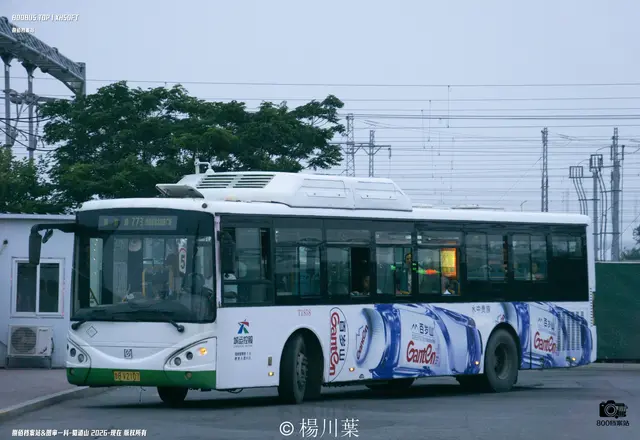 800BUS