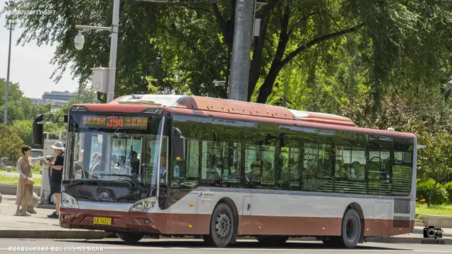 800BUS