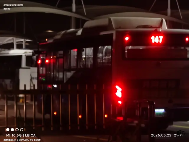 浙A33673D