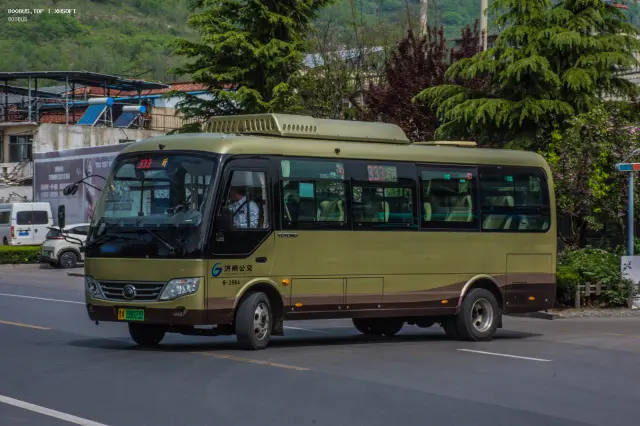 800BUS