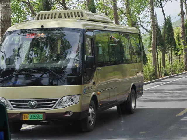 800BUS
