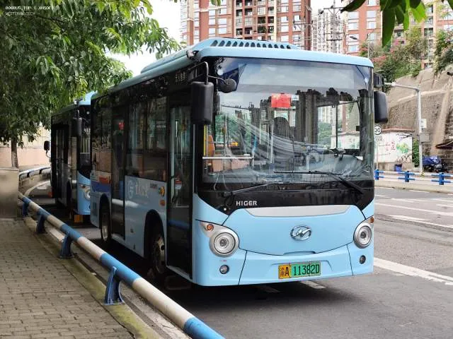 渝A 11382D