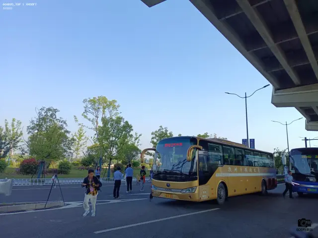 浙A5P180