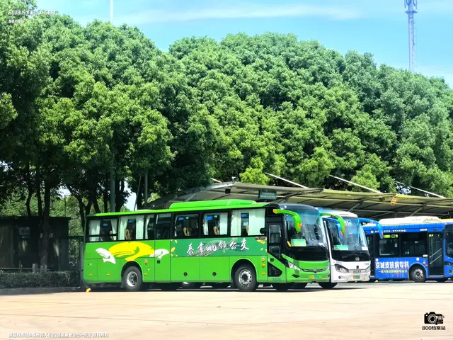 苏M 05968D