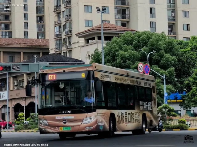 苏D 09910D