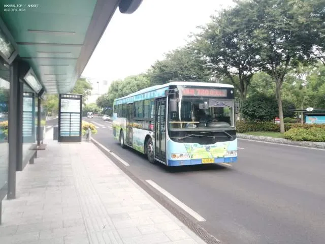 苏BB3896