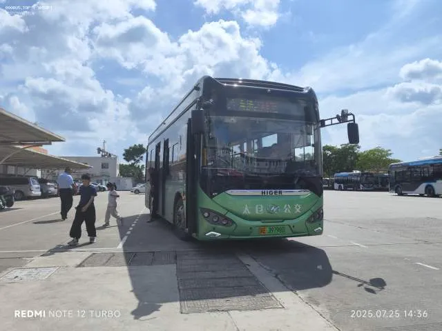 苏E39798D