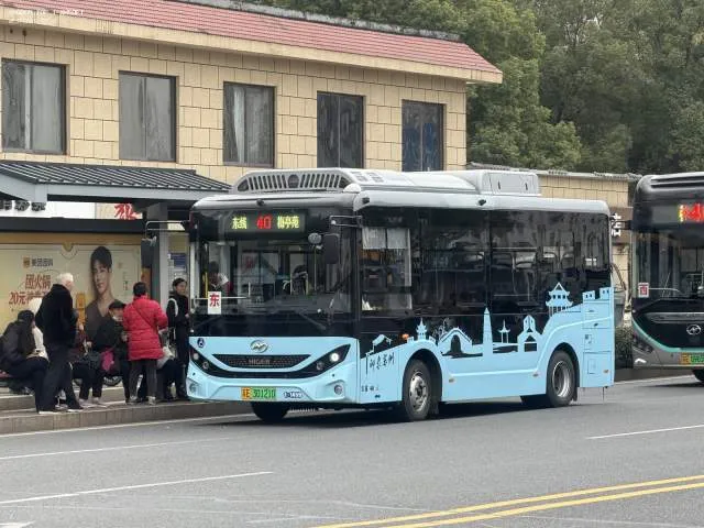 苏E30121D