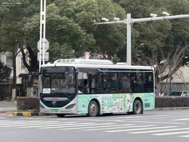 苏E09956D