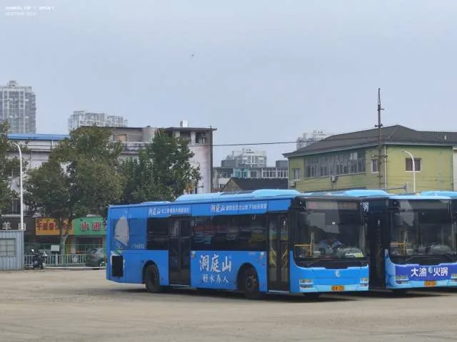 苏BW1275