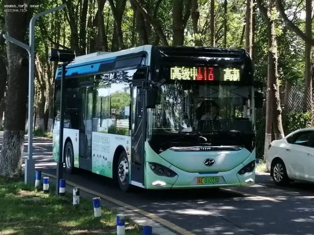 苏E01033D