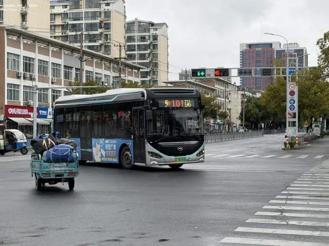 苏E06101D