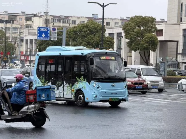 苏E01031D