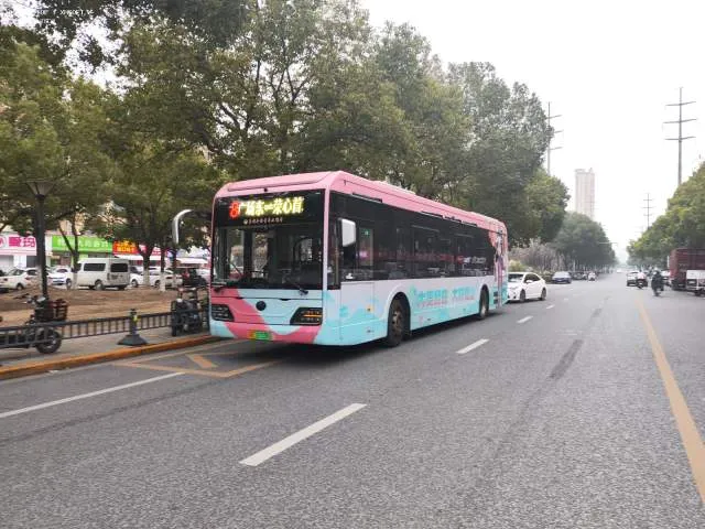 苏E07339D